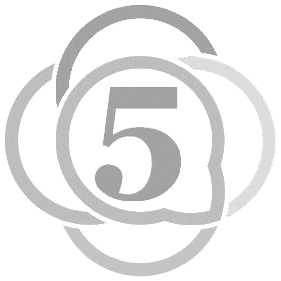 Medicina interna en 5 minutos